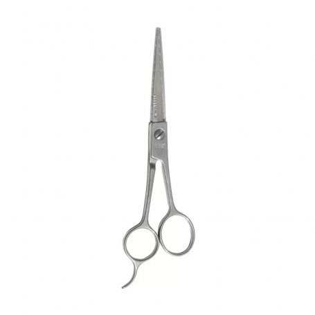 Ciseaux de Coiffure à Lames Remplaçable N°65