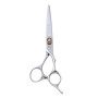 Ciseaux de Coupe "CUT'S" 6.0 Droitier Mizutani