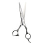 Ciseaux de Coupe "SCHOREM MASTER" 6.0 Gaucher Mizutani